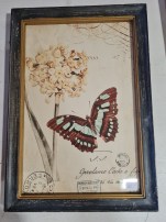 Bild Schmetterling 24x29cm 29.00